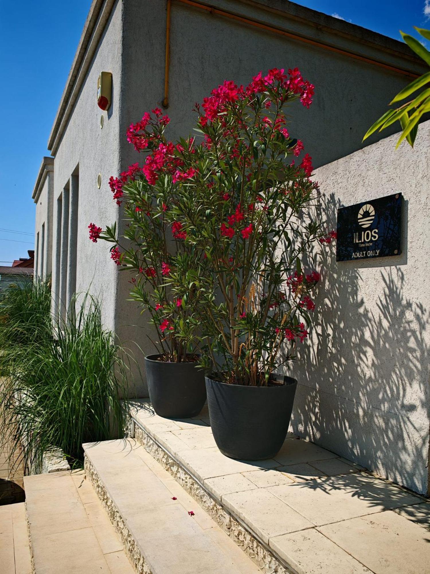 Ilios Vama Veche Adult Only Hotel Exterior foto